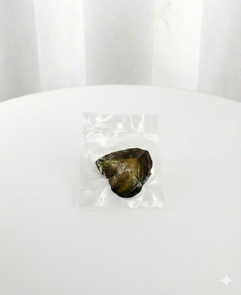 Colar Pérola dos Desejos "Magic Box"